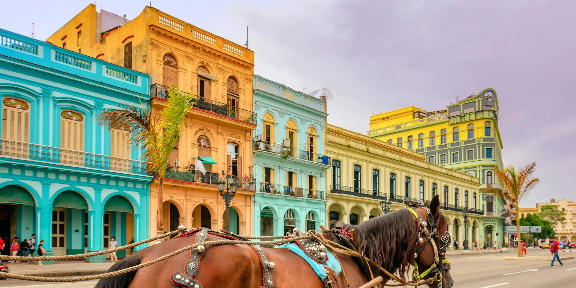 Cuba 🇨🇺 Travel Vaccines & Health Advice