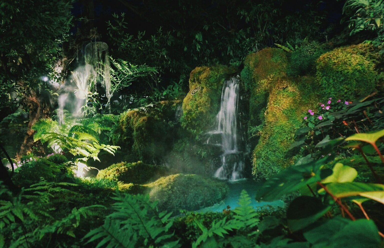 green ferns
