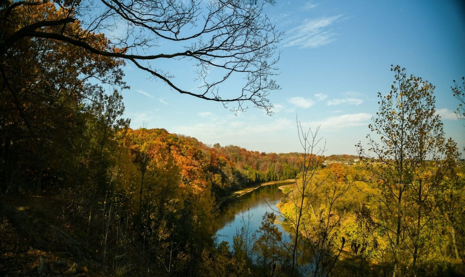 a river surrounded by trees