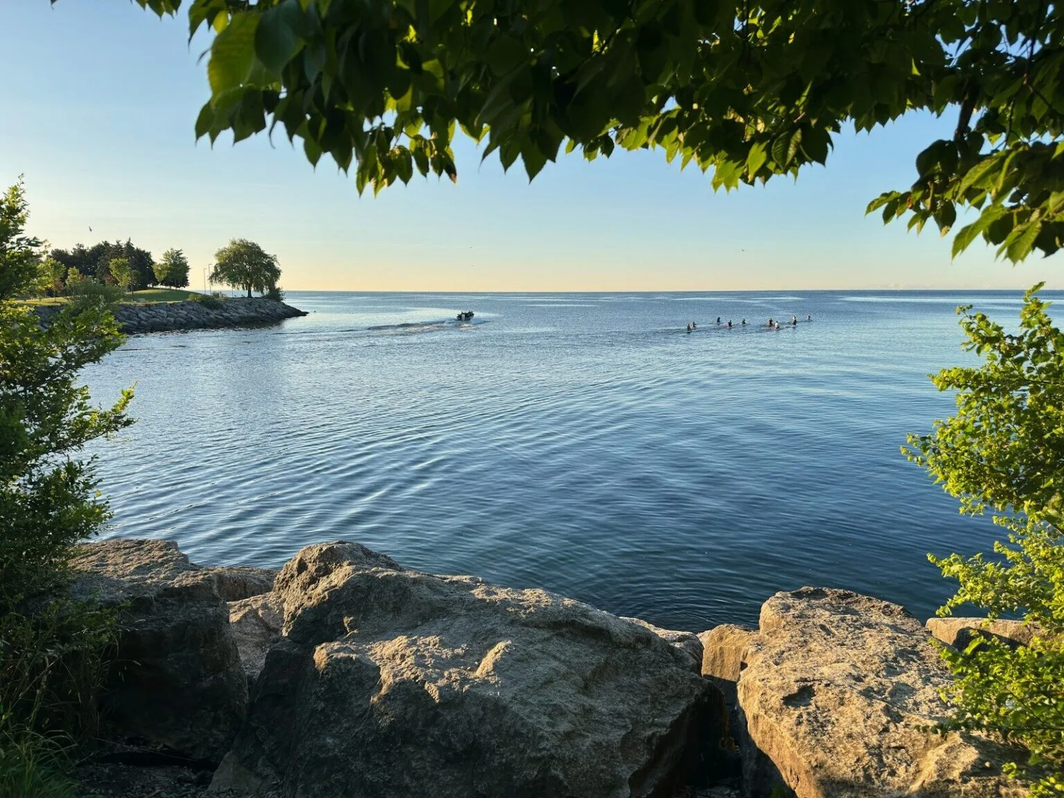 A body of water surrounded by trees and rocks
